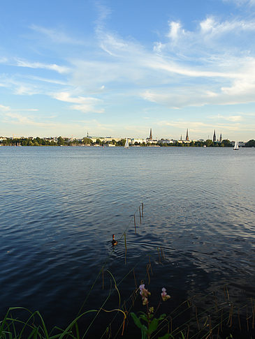 Außenalster Panorama