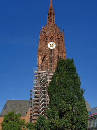 Foto Kaiserdom St. Bartholomäus mit Baum