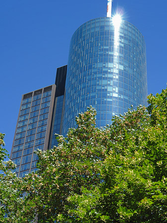 Foto Maintower