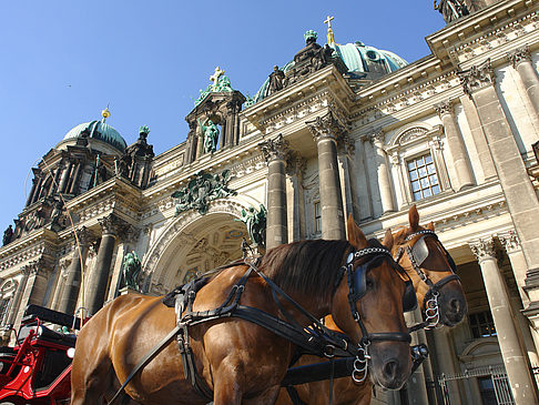 Fotos Pferdekutsche vor dem Berliner Dom | Berlin