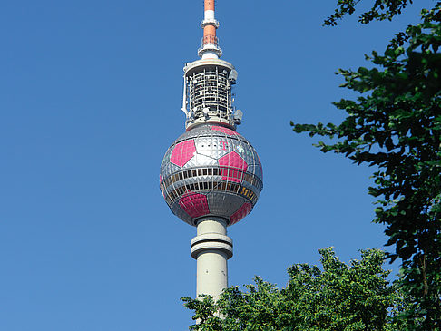 Foto Fernsehturm und Bäume - Berlin