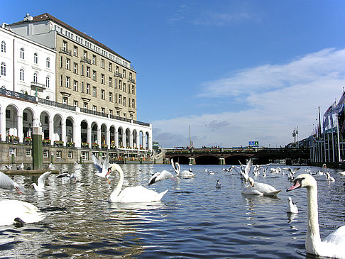 Alster Arkaden