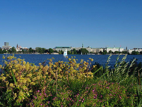 Fotos Blick nach Osten von der Außenalster