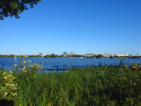 Blick nach Osten von der Außenalster Foto 