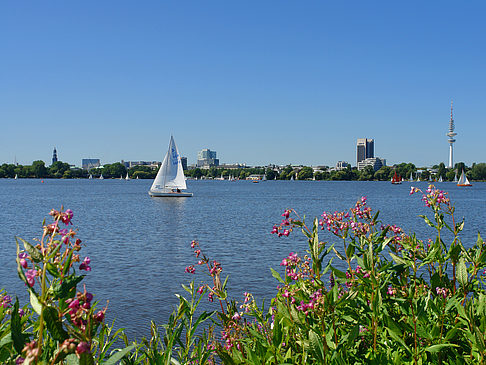 Segeln auf der Außenalster Fotos