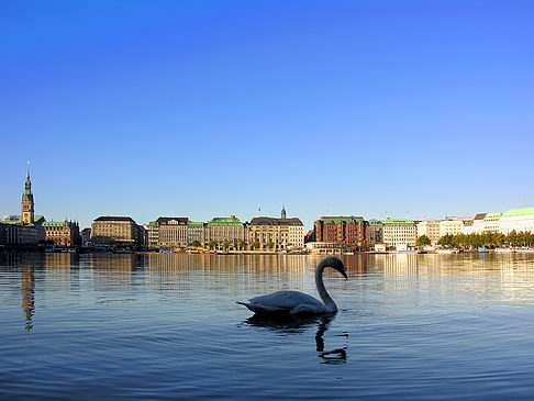 Binnenalster Fotos