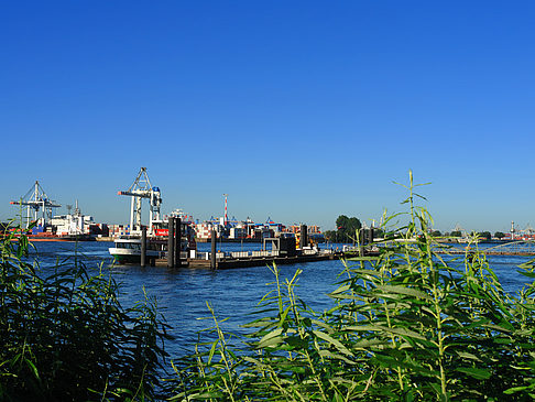 Foto Blick auf den Hafen - Hamburg