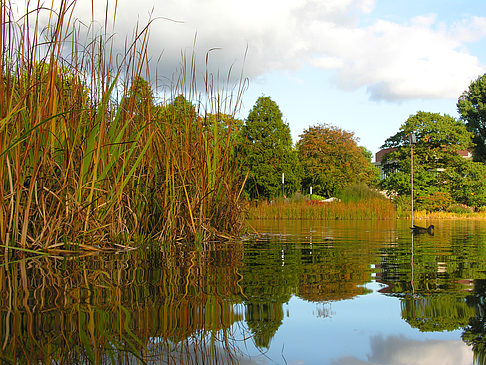 Planten un Blomen Fotos