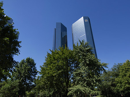 Fotos Deutsche Bank mit Bäumen | Frankfurt am Main