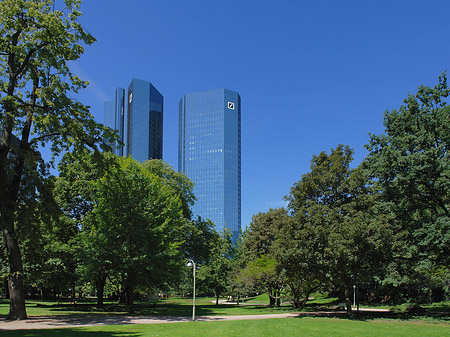 Foto Deutsche Bank mit Wald - Frankfurt am Main