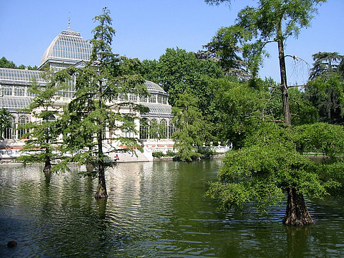 Palacio de Cristal Foto 