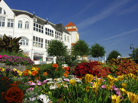 Fotos Seebrücke Binz