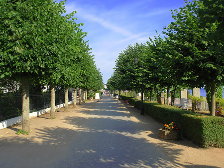 Fotos Strandpromenade | Ostseebad Binz