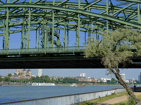 Hohenzollernbrücke mit Baum