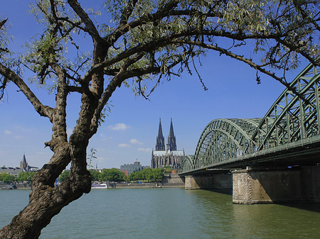 Hohenzollernbrücke am Kölner Dom Foto 