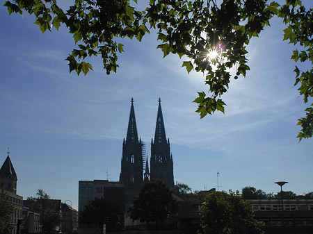 Fotos Kölner Dom