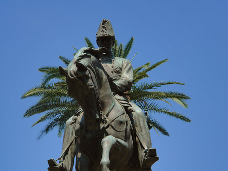 Statue von Carlo Alberto