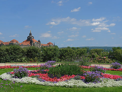 Fotos Brühlscher Garten