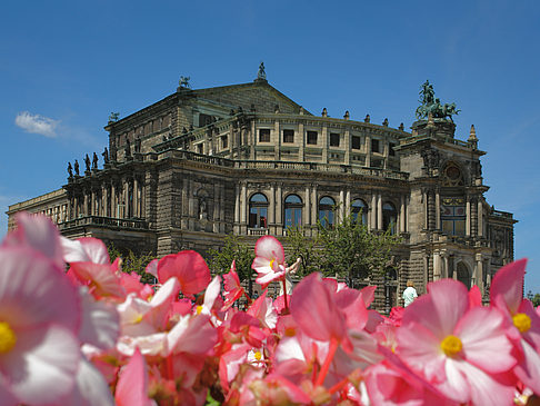 Fotos Semperoper mit Blumen | Dresden