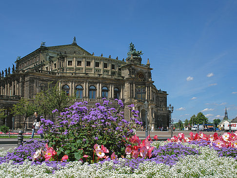 Foto Semperoper mit Blumen - Dresden